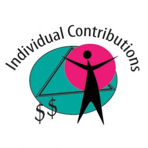 Individual Contribution